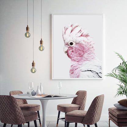 Wall Art 90cmx135cm Pink Galah White Frame Canvas