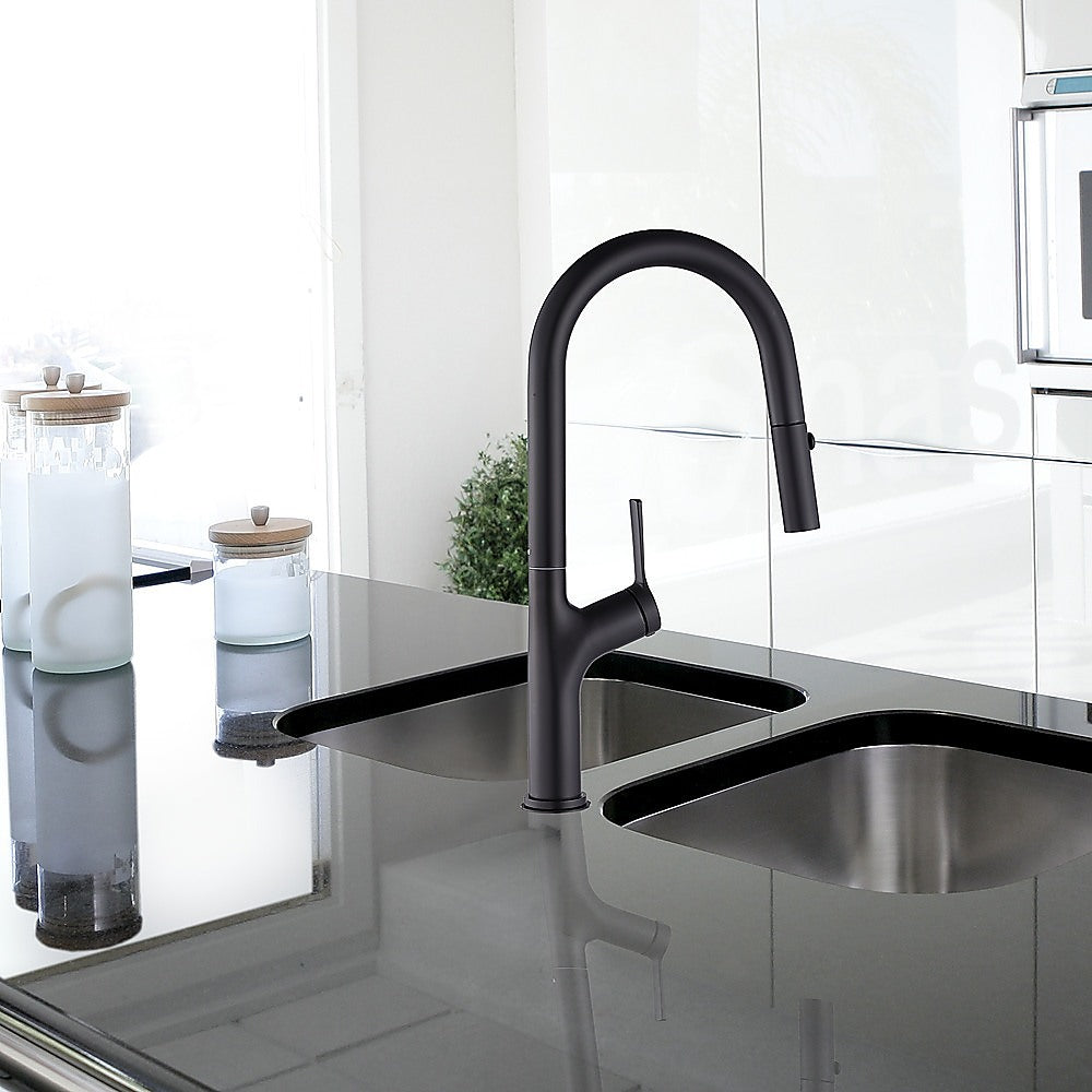 Kitchen Laundry Bathroom Basin Sink Pull Out Mixer Tap Faucet in Black