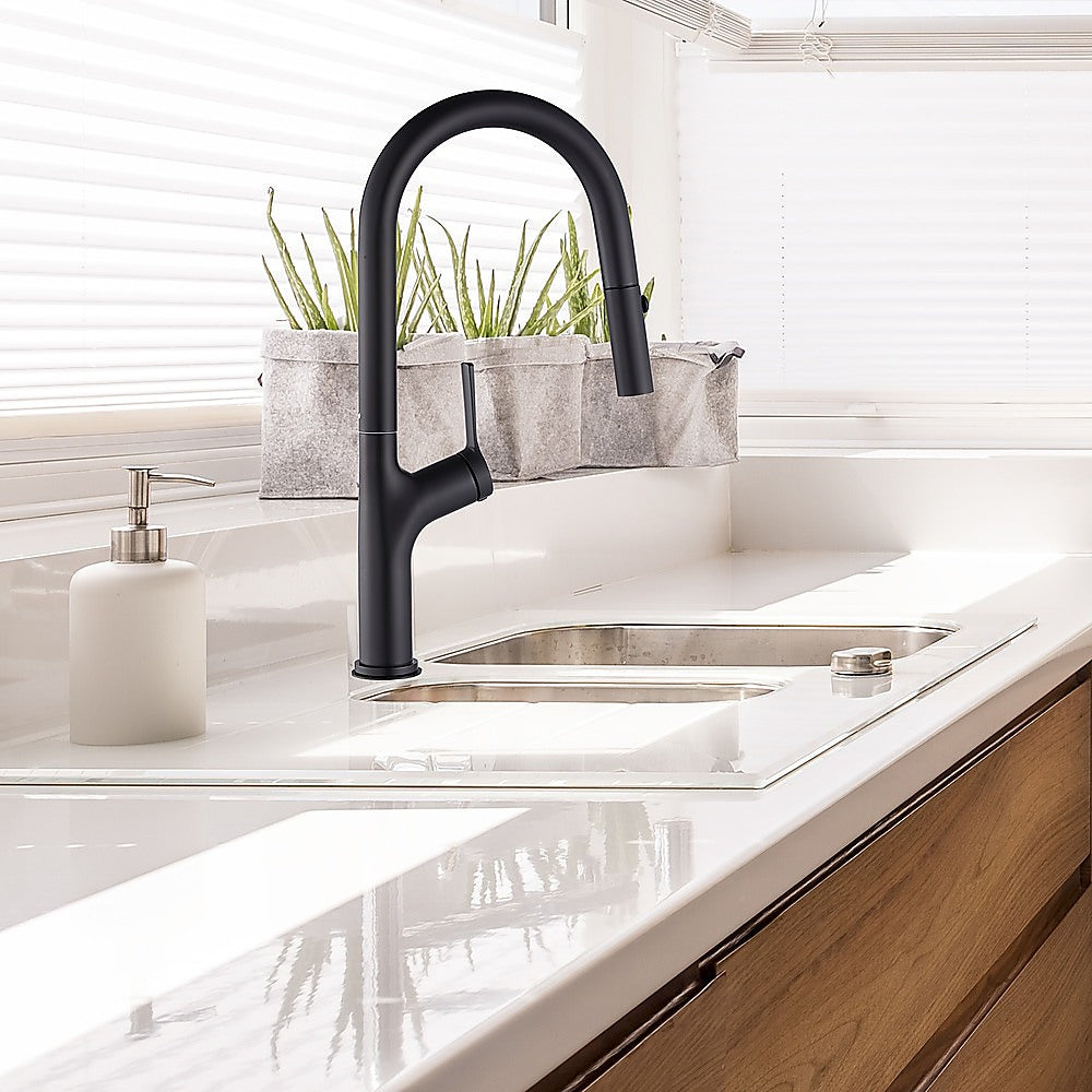 Kitchen Laundry Bathroom Basin Sink Pull Out Mixer Tap Faucet in Black